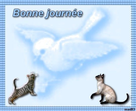 offert par madeleine